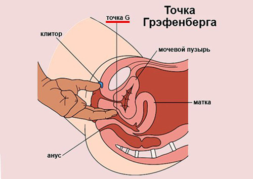 Точка G
